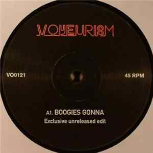 The Voyeurer - Boogies Gonna FLAC