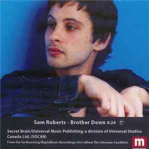 Sam Roberts - Brother Down FLAC