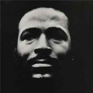 Marvin Gaye - Vulnerable FLAC
