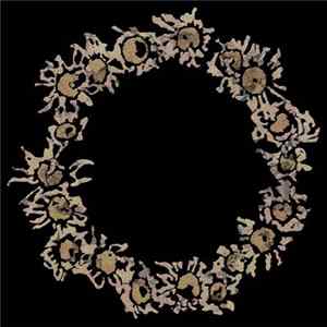In Gowan Ring - Compendium 2017 FLAC