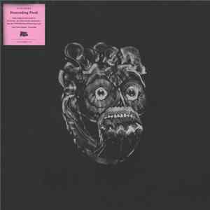 VVOVNDS - Descending Flesh FLAC