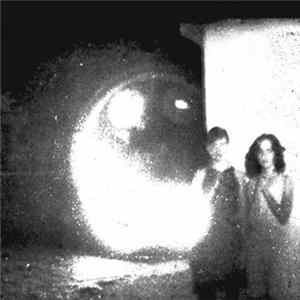Other Lives - Tamer Animals FLAC