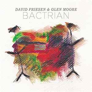 David Friesen & Glen Moore - Bactrian FLAC