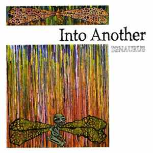 Into Another - Ignaurus FLAC