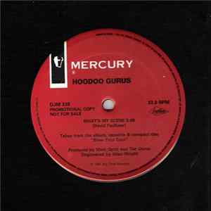 Hoodoo Gurus - What's My Scene FLAC