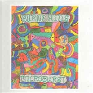Burnt Hills - Microburst FLAC