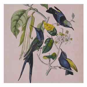 Susumu Yokota - Sakura FLAC