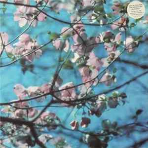 Joel R. L. Phelps & The Downer Trio - Blackbird FLAC