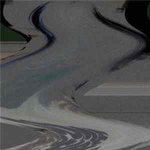 Noize Pervertz - Transgender Power Electronics Pt. 2 FLAC