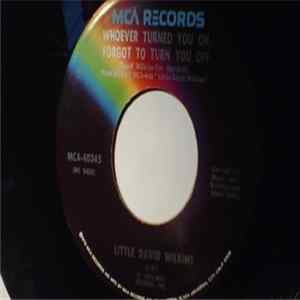 Little David Wilkins - Whoever Turned You On, Forgot To Turn You Off FLAC