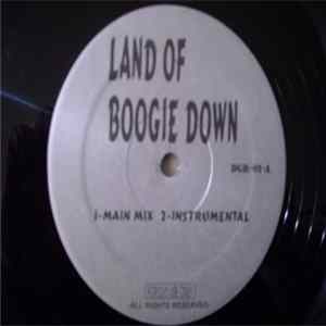 KRS-One - Land Of Boogie Down / Satisfaction FLAC