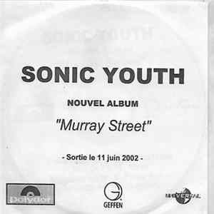 Sonic Youth - Murray Street FLAC