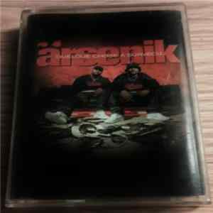 Ärsenik - Quelque Chose A Survécu... FLAC