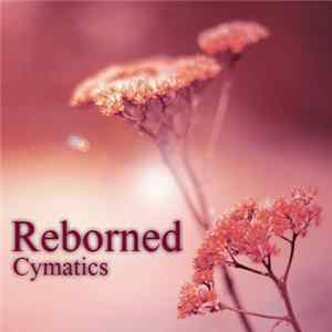 Cymatics - Reborned FLAC