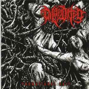 Dilapidated - Promotional 2017 FLAC