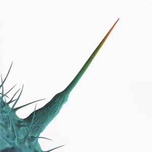 Peter Gabriel - And I'll Scratch Yours FLAC