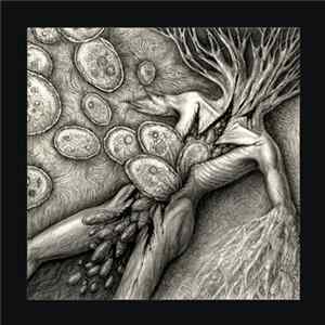 Irr. App. (Ext.) / Panicsville - Split FLAC