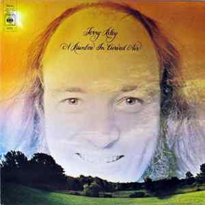 Terry Riley - A Rainbow In Curved Air FLAC