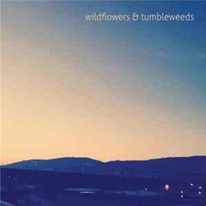 Breanne Marie & The Front Porch Sinners - Wildflowers & Tumbleweeds FLAC