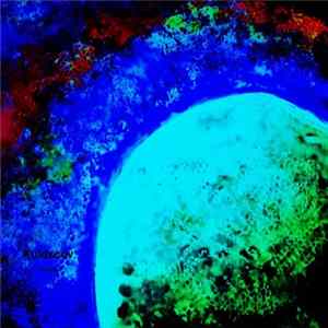 Koldscov - Far Away FLAC