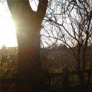 Second Thought - Leaf Pass FLAC