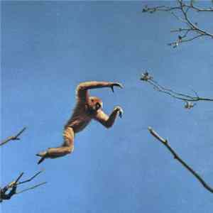 Star Club West - My Ill Women FLAC