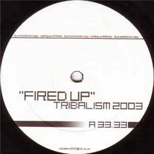 Funky Green Dogs / Thimo U. S. - Fired Up / Drums On Fire FLAC