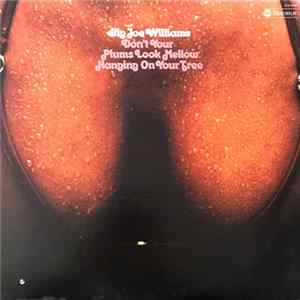 Big Joe Williams - Don't Your Plums Look Mellow Hanging On Your Tree FLAC