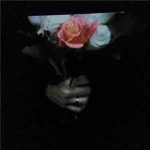 Paper Dollhouse - Aeonflower FLAC