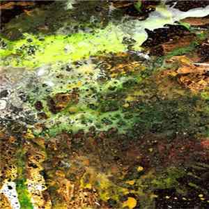 Levial Mana - Sublimitless Abyss FLAC