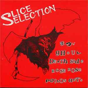 Various - Slice Selection FLAC