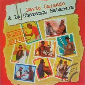 David Calzado & La Charanga Habanera - David Calzado & La Charanga Habanera FLAC