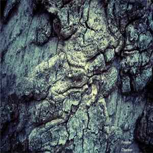 Fissures - Charbon FLAC