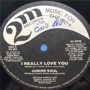 Junior Soul - I Really Love You/Message From Maria FLAC