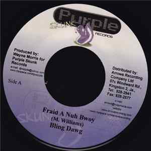 Bling Dawg / Teflon - Fraid A Nuh Bwoy / Soldier FLAC