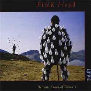 Pink Floyd - Delicate Sound Of Thunder FLAC