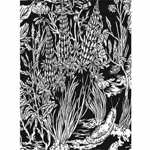 Eternal Tapestry - Wild Strawberries FLAC