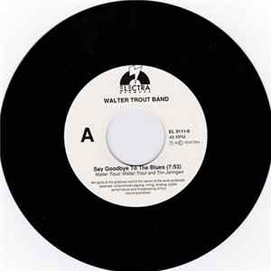 Walter Trout Band - Say Goodbye To The Blues FLAC