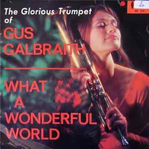 Gus Galbraith, The Newkirk Small Pops Orchestra - What A Wonderful World FLAC
