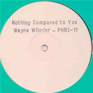 Wayne Wonder - Nothing Compares To You FLAC