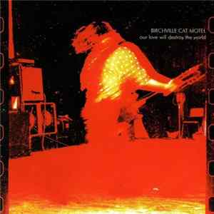 Birchville Cat Motel - Our Love Will Destroy The World FLAC