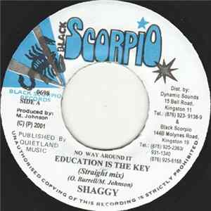 Shaggy - Education Is The Key FLAC