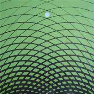 The Oscillation - Future Echo FLAC
