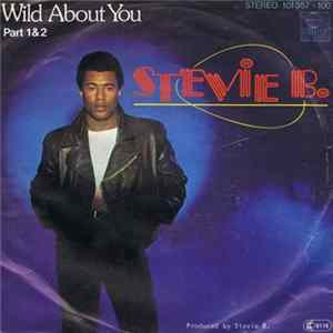 Stevie B. - Wild About You (Part 1 & 2) FLAC