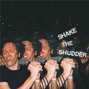 !!! - Shake The Shudder FLAC