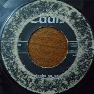 Bachisio Virdis - S'Autista In Gonna FLAC