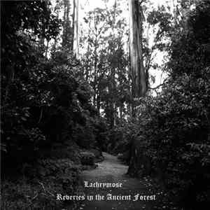 Lachrymose - Reveries In The Ancient Forest FLAC