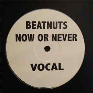 The Beatnuts - Now Or Never FLAC