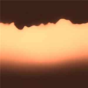 Evergreen Avenue - Almost Silent FLAC