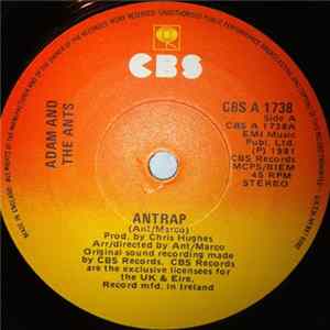 Adam And The Ants - Ant Rap FLAC